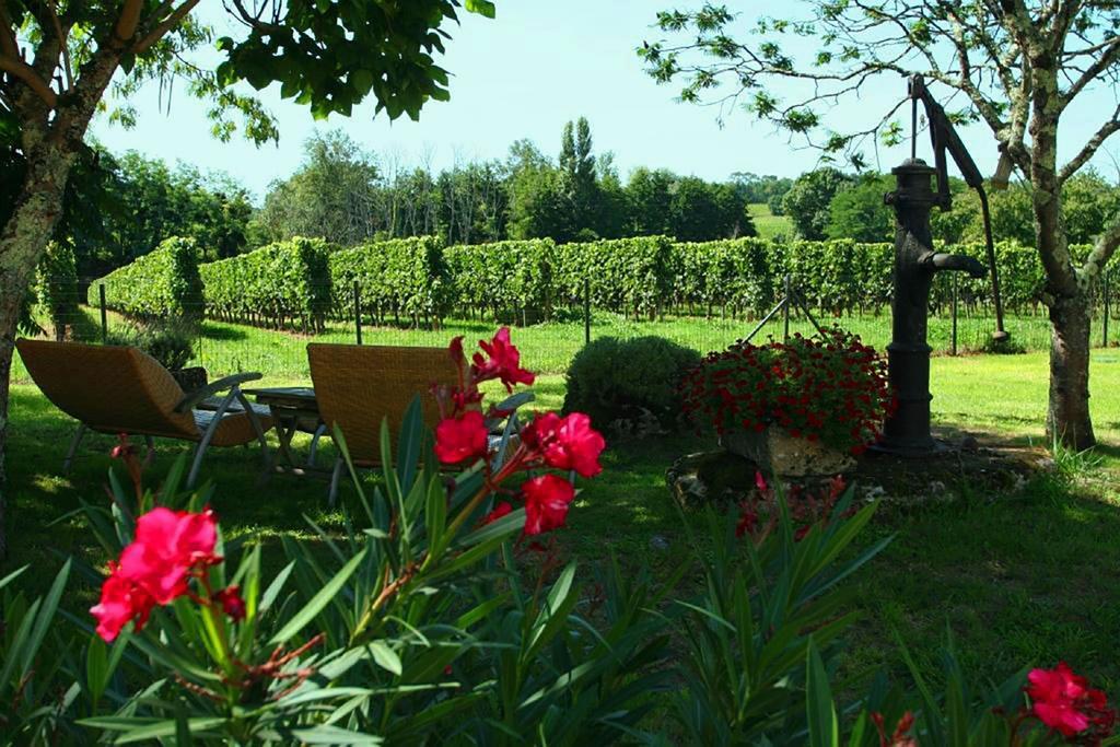 Bed and Breakfast Bleu Raisin Les Salles-de-Castillon Exteriér fotografie