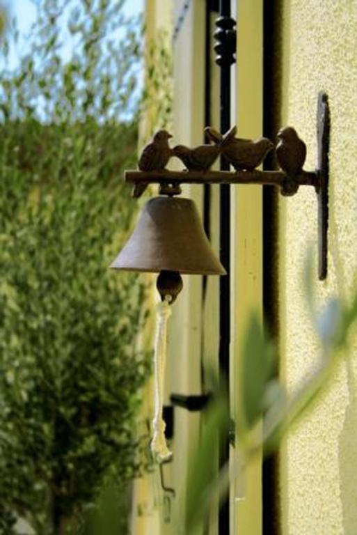 Bed and Breakfast Bleu Raisin Les Salles-de-Castillon Exteriér fotografie